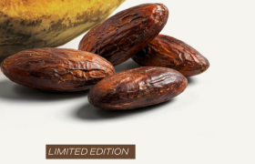 A Touch of Autumn Luxury: Sothys Tonka & Cocoa